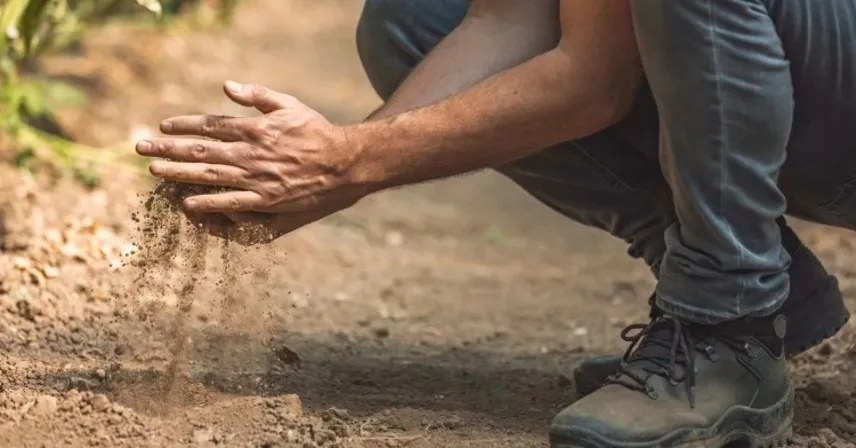 Teyemmümün Farzları ve Sünnetleri Nelerdir, Kaç Tanedir?