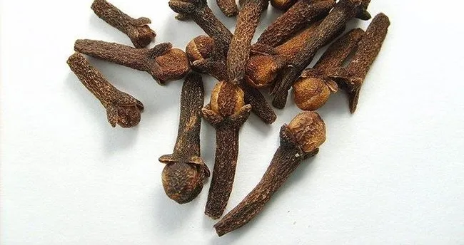 Karanfil Çiğnemek Ne İşe Yarar? Karanfil Kaynatıp İçmek Neye İyi Gelir, Karanfilin Faydaları Neler?