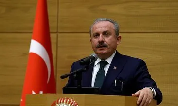 TBMM Başkanı Şentop, KKTC-Türkiye Dostluk Grubu Başkanı Canaltay’ı kabul etti