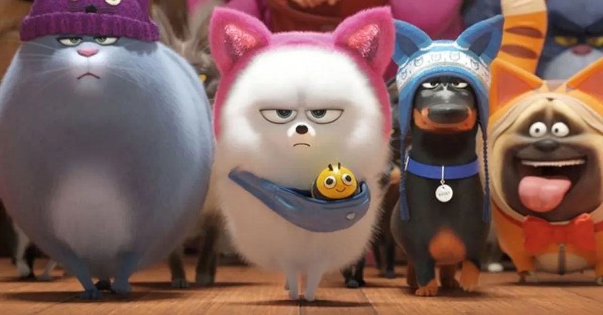 filminin oyuncu kadrosunda kimler var