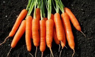 havuc suyunun faydalari nelerdir ve havuc suyu nasil sikilir saglik haberleri