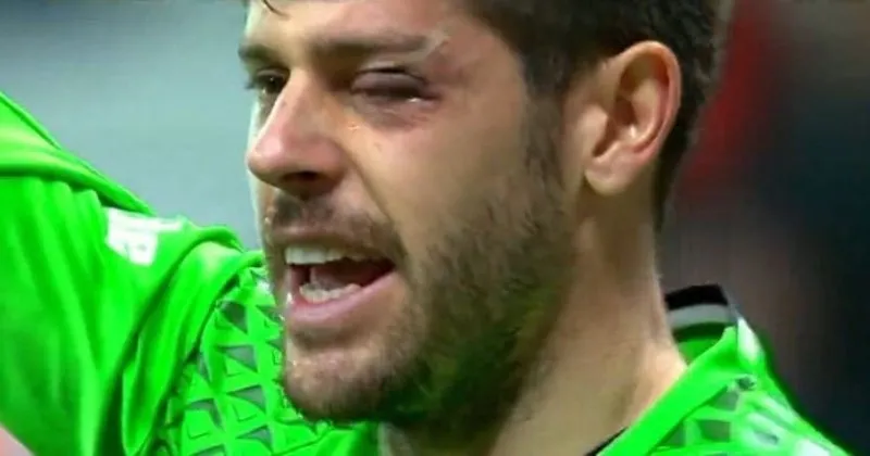fabri korkuttu gozu morardi son