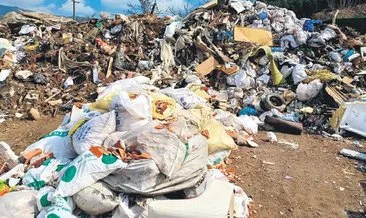 Çevre katliamına 3.7 milyon lira ceza