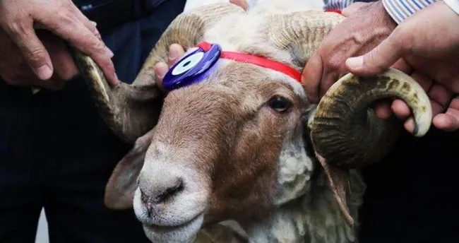 kurban bayrami 2020 hangi ayda bayram