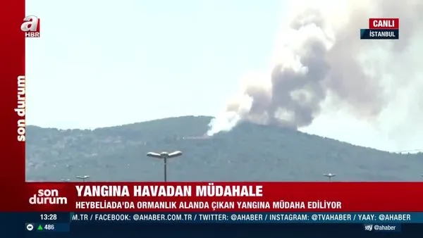 SON DAKİKA: İstanbul Heybeliada'da orman yangını! Olay yerinden ilk görüntüler