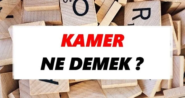 Kamer Ne Demek? TDK’ya Göre Kamer Sözlük Anlamı Nedir?