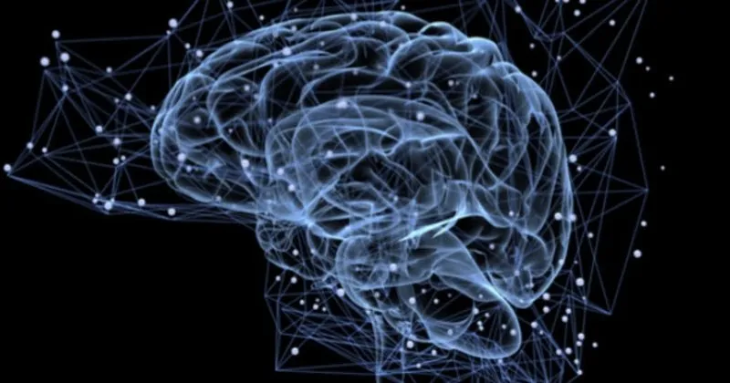 Alzheimer Hastaligina Hangi Doktor Bakar