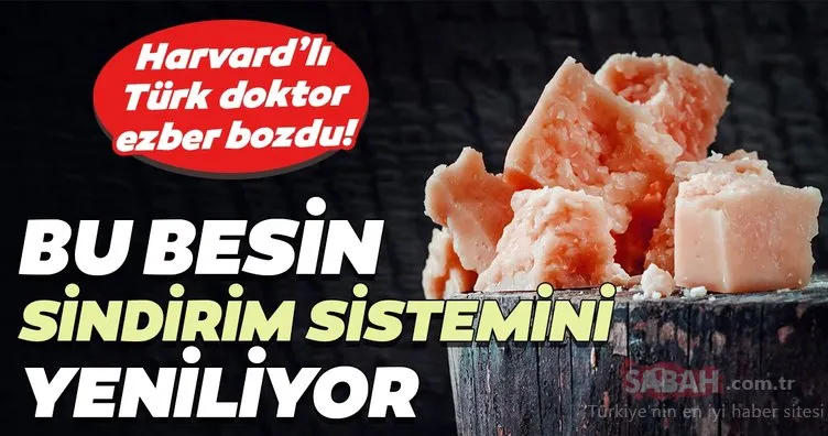 Harvard’lı Türk doktor ezber bozdu! Bu besin sindirim sistemini yeniliyor