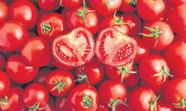 Kırmızı şifa: Likopen