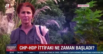 CHP ve HDP ittifakı ne zaman ve nasıl başladı? | Video