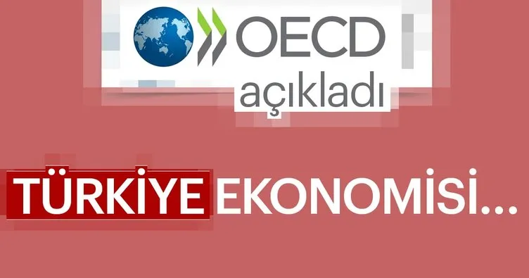 OECD, Türkiye’nin büyüme tahminini yükseltti