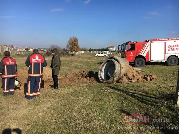 Silivri’de rögara düşen danayı bakın nasıl kurtardılar