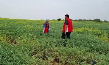 Şanlıurfa’da” Alo Ziraat Doktorum Projesi