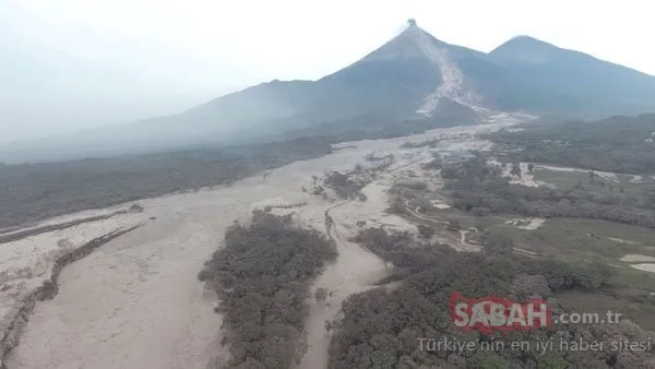 Korkunç görüntüler ortaya çıktı