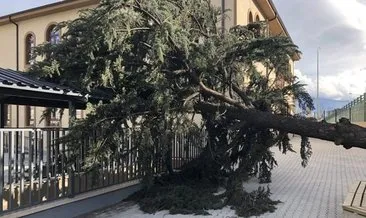 İzmir’de rüzgar nedeniyle 2 otomobilin üzerine ağaç devrildi