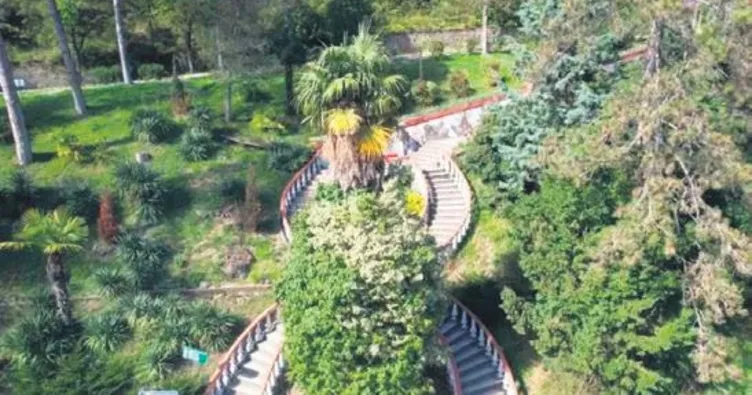 Ağaç müzesine bahar geldi