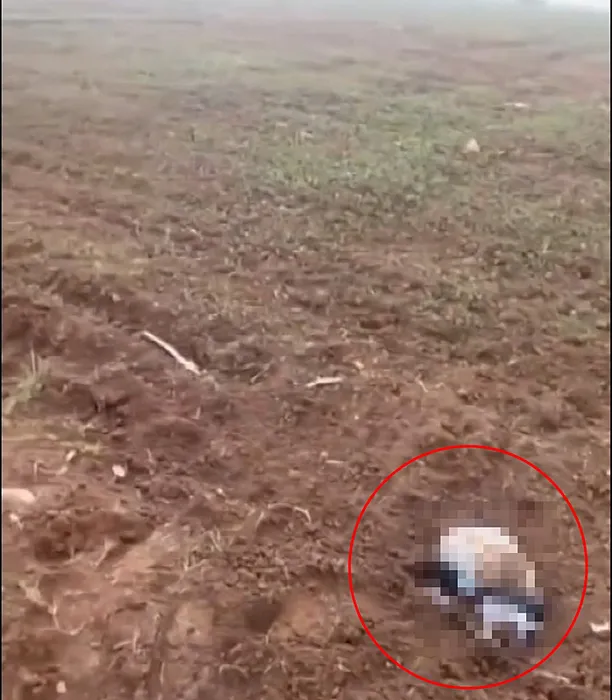 Poşette yeni doğmuş kız bebek cesedi bulunmuştu: Cani anne iple boğup, araziye atmış!