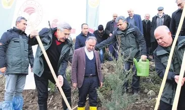 Amanos Dağları’na 6 milyon fidan