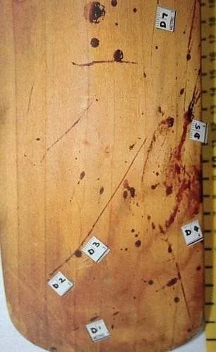 Pistorius cinayetinin olay yeri fotoğrafları