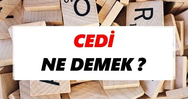 Cedi Ne Demek? TDK’ya Göre Cedi Sözlük Anlamı Nedir?