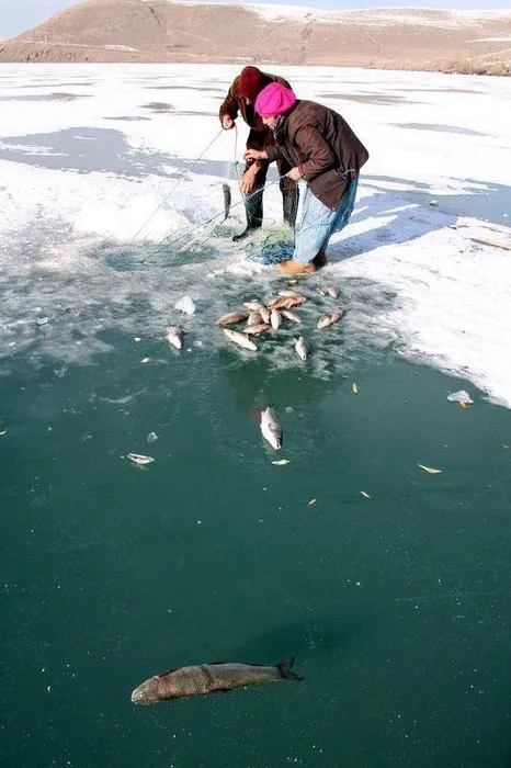 Çıldır’da Eskimo usulü balık avı