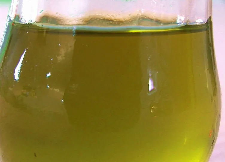 Kanserin ilacı! Kilosu 100 liradan satılıyor...