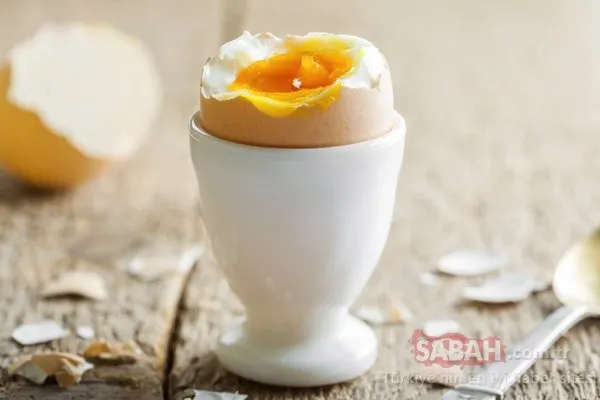 Bu besinler hafızayı canlı tutuyor!
