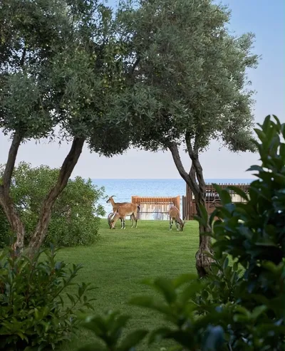 antalyada-kultur-yolu-heyecani-basladi-bakan-ersoy-acikladi-antalya-turizmi-icin-yeni-adim-1793443473735.jpeg