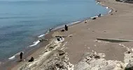 Düzceli vatandaşlar sıcak havayı fırsata çevirdi