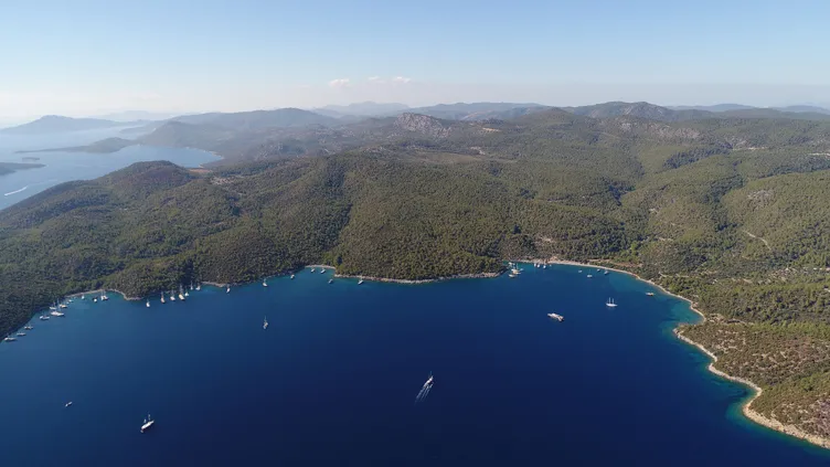 SON DAKİKA | Bodrum’da Lübnanlı işadamına 7.7 milyarlık tuzak! Organize tapu kumpası deşifre oldu