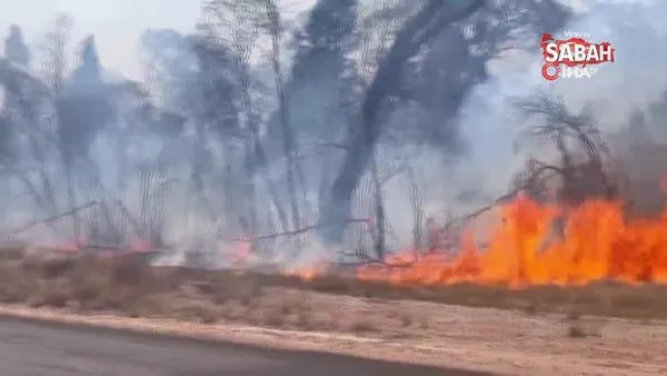 Avusturalya’da orman yangını: 2 ölü | Video