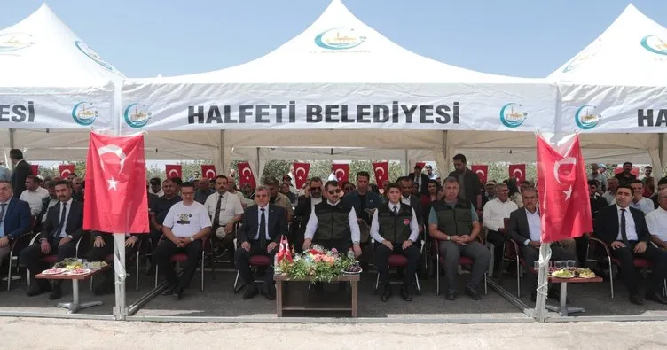 Şanlıurfa’da fıstık hasadı başladı