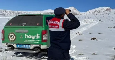 Niğde Aladağlar Milli parkında da keçilerine yem bırakıldı #nigde
