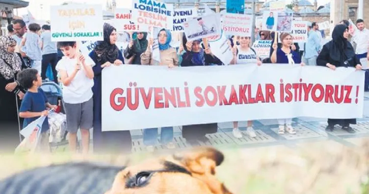 ‘Başıboş köpek sorununa dur de’ yürüyüşü