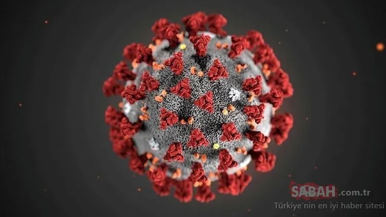 Dünyaca ünlü Fransız ilaç laboratuvarından son dakika haberi: ’Plaquenil ilacı corona virüsü tedavisi için test edilecek’