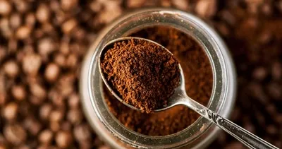 Kahve telvesinden yerli tohum üretti! 4 ayda yetiştirdi