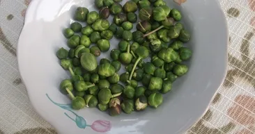 O problemi ortadan kaldırıyor