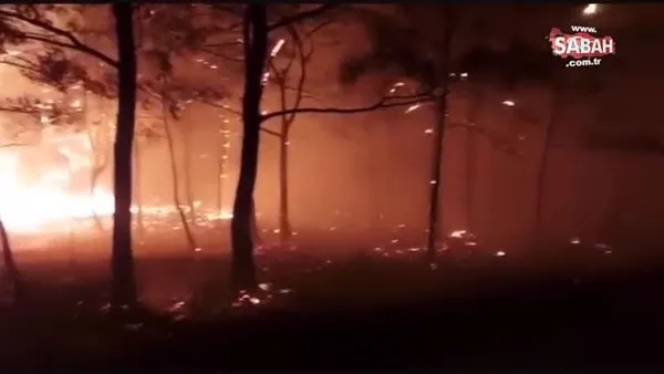 Son dakika: Muğla'nın Marmaris ilçesinde orman yangını! | Video
