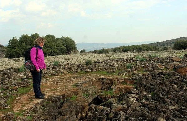 Lav tüpü mağaraları yabani hayvanlara yuva oldu