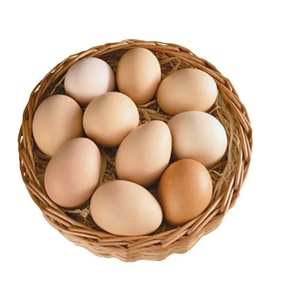 Yediğimiz yumurtalar bizi zehirliyor mu?