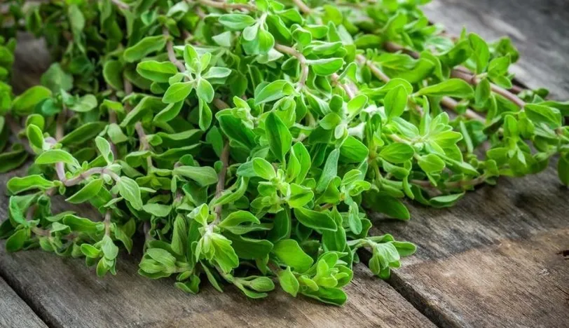 Mercanköşk