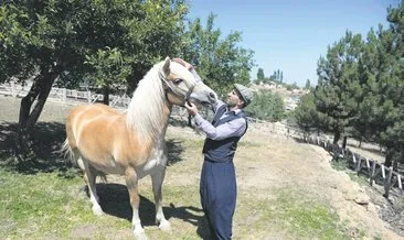 Fayton Atları Altındağ’da Korunuyor