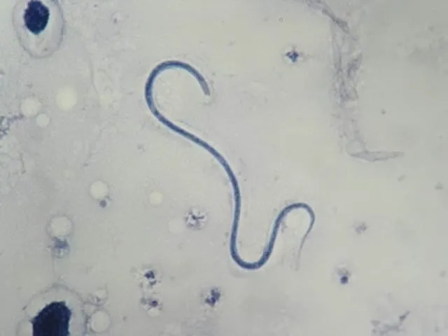 sabah