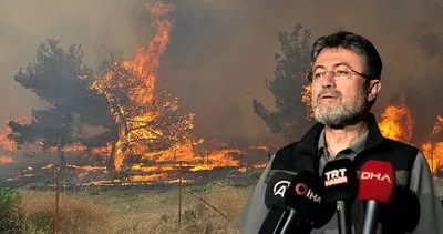 Türkiye’nin ciğerleri yanıyor! Çanakkale, Hatay, Tekirdağ ve Balıkesir dahil birçok ilde orman yangını: Bakan Yumaklı son durumu açıkladı