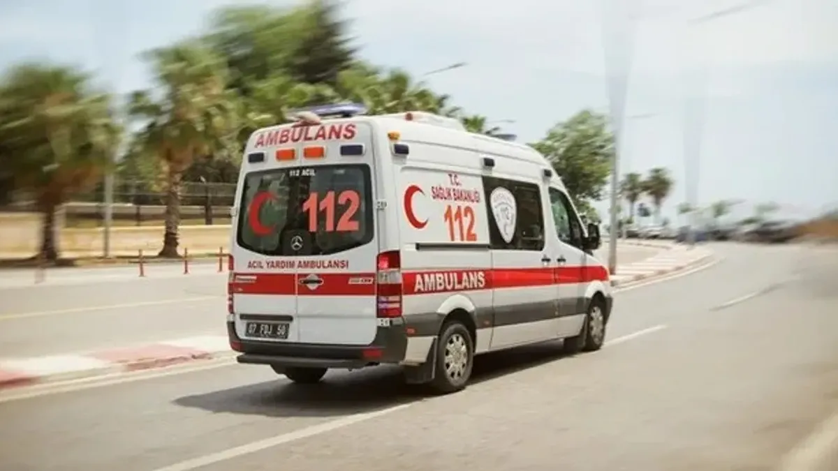 Alanya’da kestiği ağacın altında kalan kişi hayatını kaybetti Alanya’da kestiği ağacın altında kalan kişi hayatını kaybetti