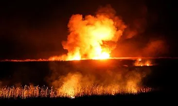 Silifke’deki Göksu Deltası’nda yangın çıktı