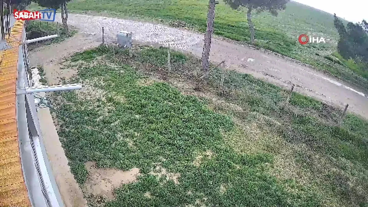 Kayıp olarak aranan 84 yaşındaki kadının cesedi bulundu | Video videosunu izle Kayıp olarak aranan 84 yaşındaki kadının cesedi bulundu | Video videosunu izle