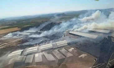 İzmir Bergama’da makilik yangını