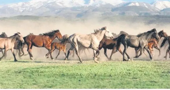 7/24 şehirde yaşam