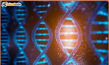 ABD’deki çalışmaya göre, ayak izi veya nefesten insan DNA’sı tespit edilebiliyor